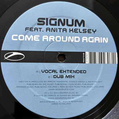Signum Feat. Anita Kelsey – Come Around Again