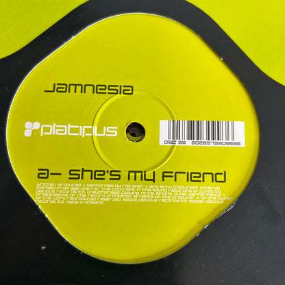 Jamnesia – She's My Friend / Get Busy