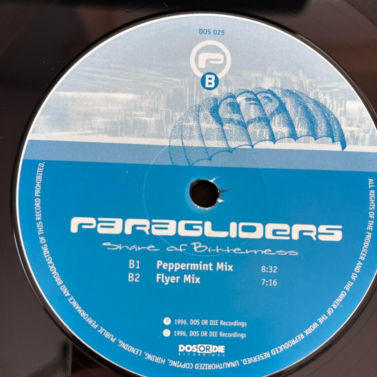 Paragliders – Share Of Bitterness