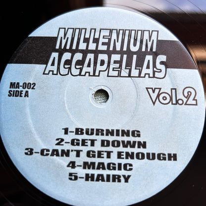 Various – Millenium Accapellas Vol.2