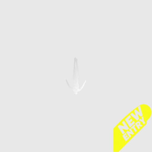 VARIOUS ARTISTS REALM OF CONSCIOUSNESS PT. IV (2026 REPRESS) (4LP)