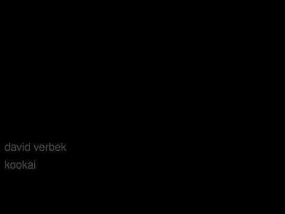 David Verbek – No More - Kookaï