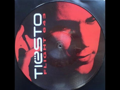 Tiësto – In My Memory (12" Picture Disc 2/2)