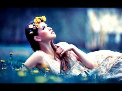 Aptness – Dreamer