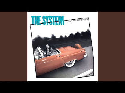 The System – Don't Disturb This Groove