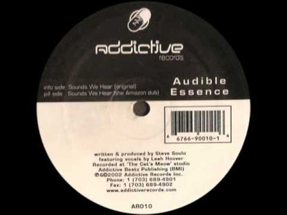Audible Essence – Sounds We Hear